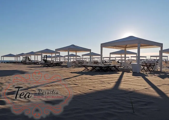 Tea Versilia - Dei Marmi 公寓 马尔米堡