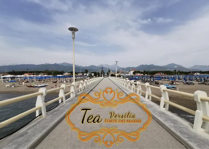 Lejlighed Tea Versilia - Dei Marmi *